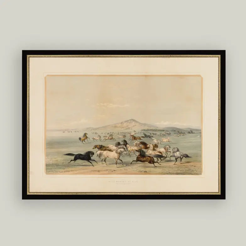 Petal Lane Home, Field of Horses