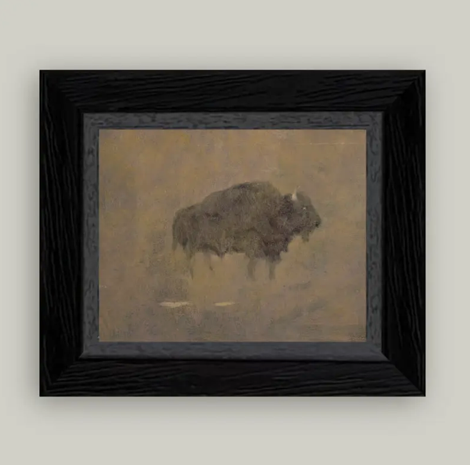 Petal Lane Home, Buffalo in a Sandstorm