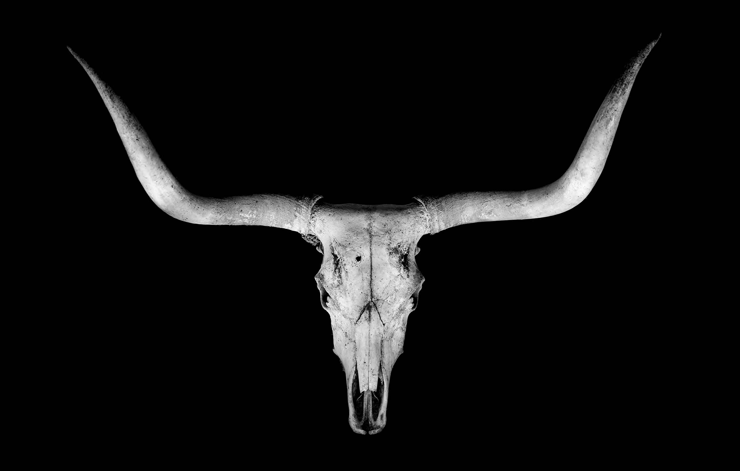 Gibbs Smith, Ranchland: Wagonhound Book