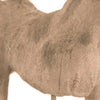 Resin Horse in Stand - Horse Height 9.25 Inches