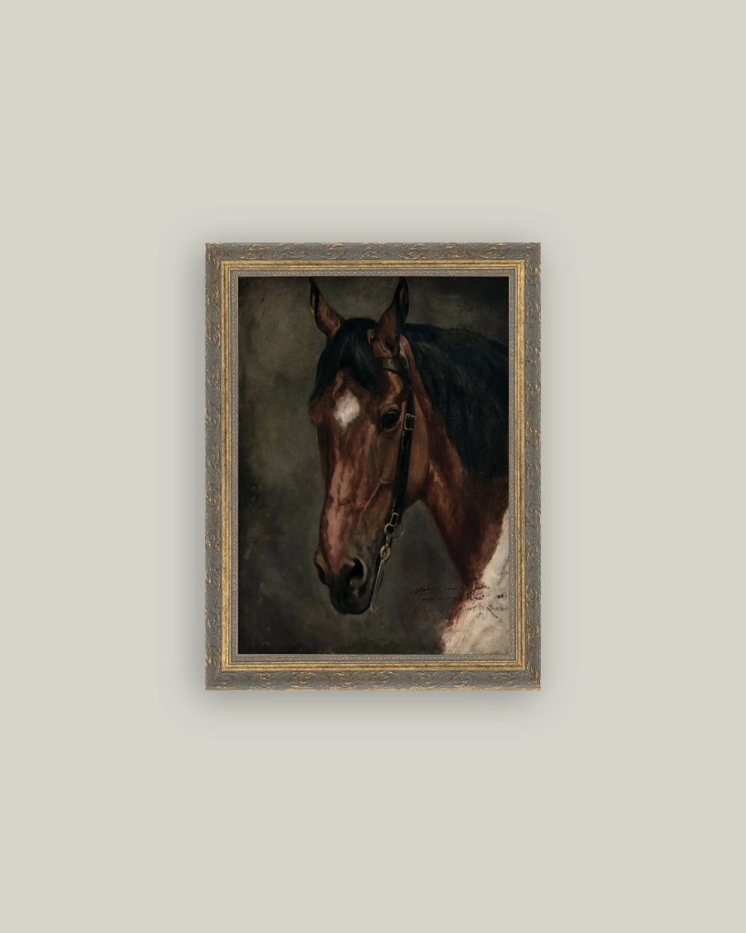 Petal Lane Home, Horse Portrait