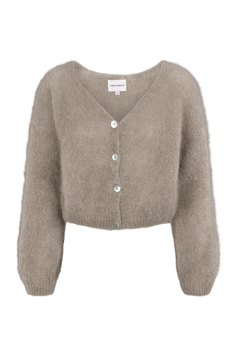 American Dreams, Cornelia