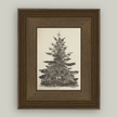 Petal Lane Home, Vintage Pine Tree