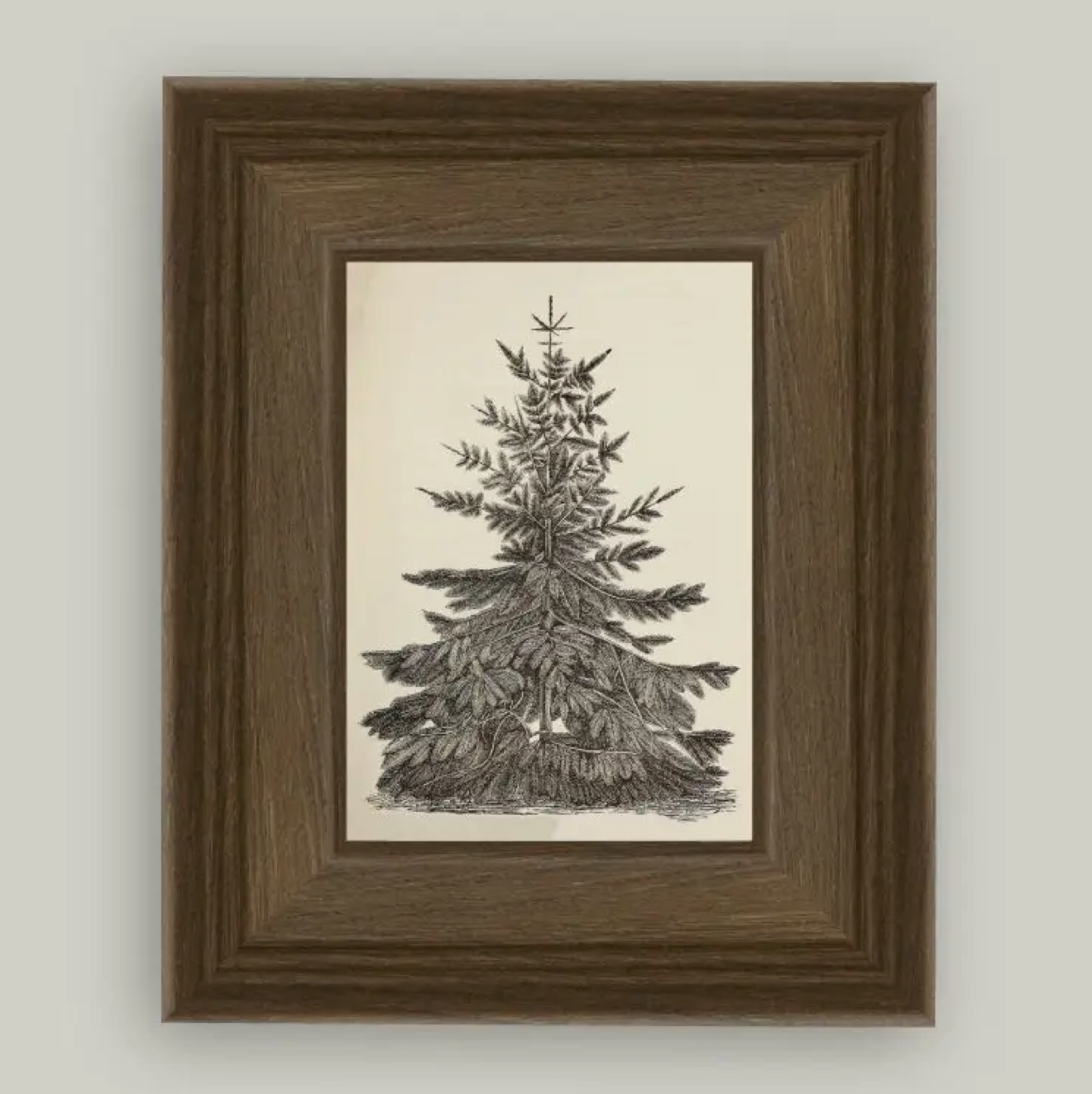 Petal Lane Home, Vintage Pine Tree