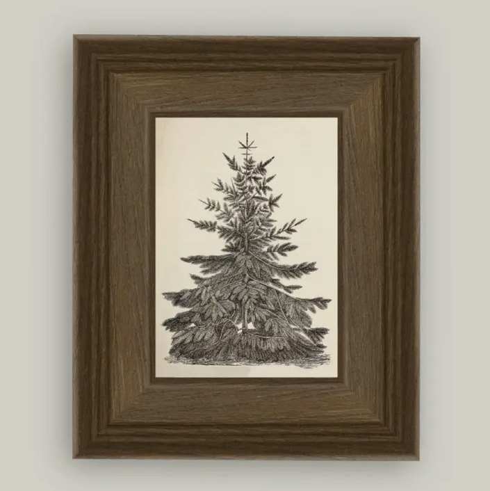 Petal Lane Home, Vintage Pine Tree