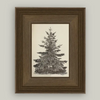 Petal Lane Home, Vintage Pine Tree