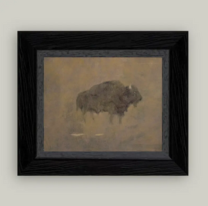 Petal Lane Home, Buffalo in a Sandstorm