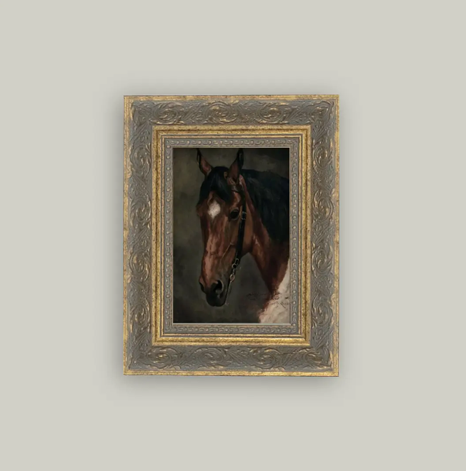 Petal Lane Home, Horse Portrait
