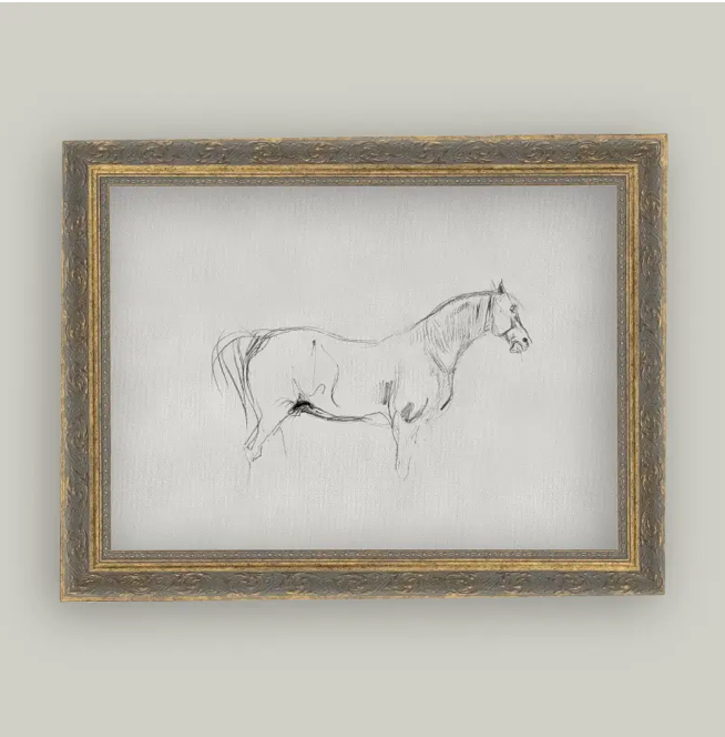 Petal Lane Home, Horse Sketch
