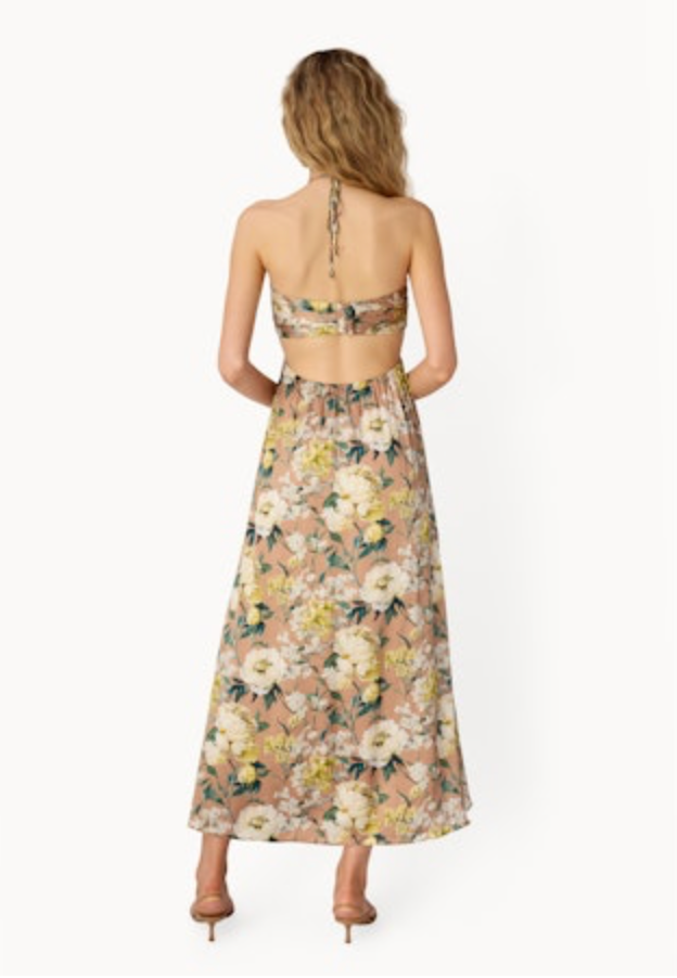 Cami NYC, Calliope Maxi Dress