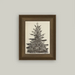 Petal Lane Home, Vintage Pine Tree