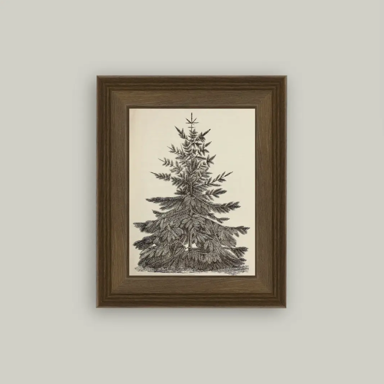 Petal Lane Home, Vintage Pine Tree