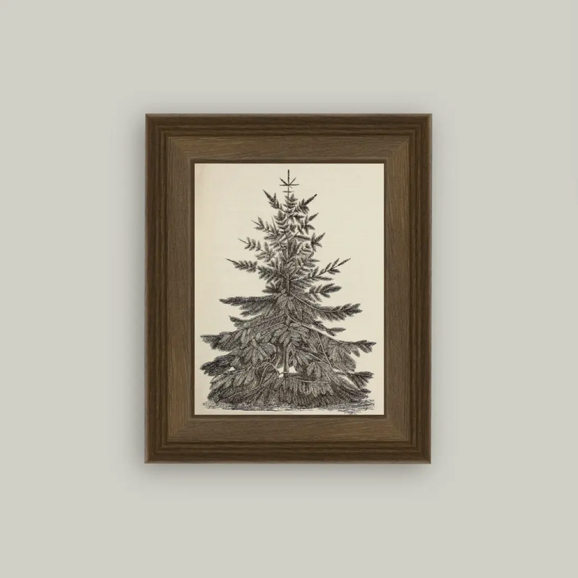 Petal Lane Home, Vintage Pine Tree
