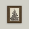 Petal Lane Home, Vintage Pine Tree