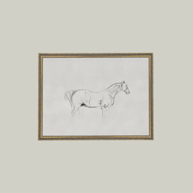 Petal Lane Home, Horse Sketch
