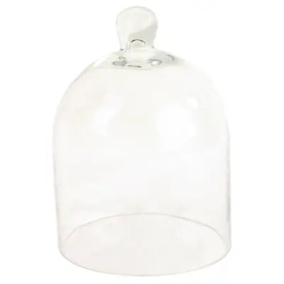A + R, Glass Dome
